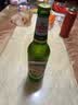 青岛啤酒（TsingTao）经典啤酒 600ml*12瓶 升级大容量 整箱装 实拍图