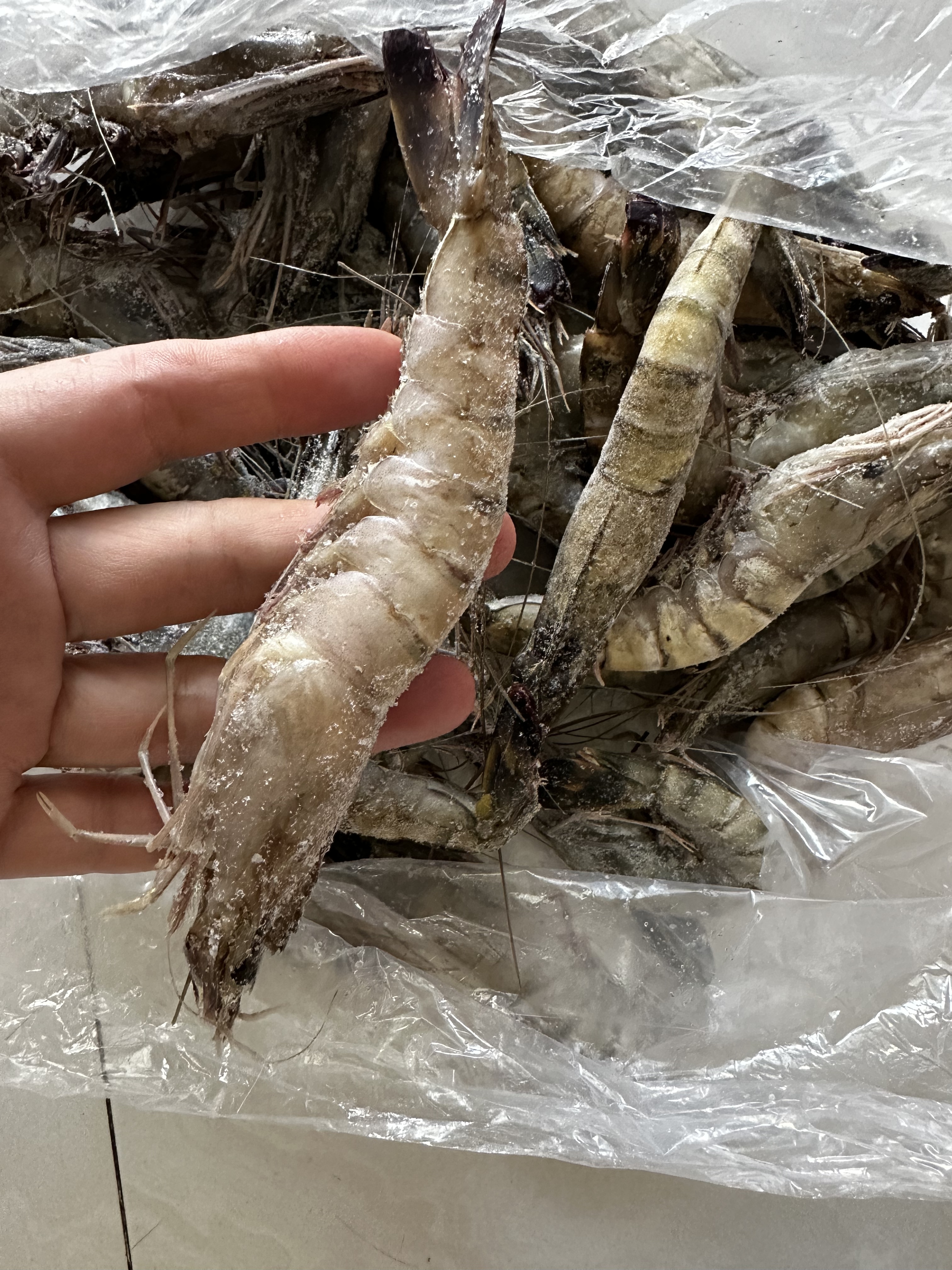 云储生活黑虎虾特大号鲜活冷冻新鲜斑节虾海虾虾类生鲜3040规格 净重2.5斤 实拍图