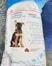 皇家狗粮 幼犬狗粮 幼犬奶糕 宠物中型犬MEJ32全价犬粮2-12月15KG 实拍图