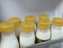 每日鲜语鲜牛奶 A2β-酪蛋白鲜牛奶185ml*6 巴氏杀菌乳 低温鲜奶 实拍图