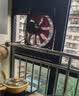 钻石牌（DIAMOND）排气扇厨房大风力墙壁窗式除油烟工业排风扇强力厨房排气扇SY 14寸双网【孔距337mm】开关2米线 实拍图
