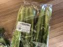 上海青约500g(油菜) 实拍图