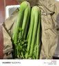 京地达山东水果西芹 净重3斤 榨汁芹菜蔬菜源头直发包邮 实拍图