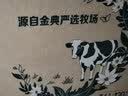 伊利【新鲜日期】金典纯牛奶早餐奶250ml*16盒3.6g 礼盒装 实拍图
