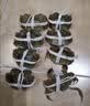 【活蟹】漁家师傅大闸蟹公4-4.3两母3-3.3两4对8只 去绳足重鲜活螃蟹生鲜礼盒金秋送礼 实拍图