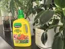 美益棵浓缩营养液通用型600ml月季多肉绿植花卉盆栽园林复合肥料水溶肥 实拍图