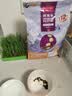 麦富迪猫粮 超肉粒冻干双拼奶糕离乳猫粮呵护免疫 冻干蛋奶2kg 实拍图