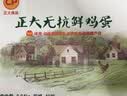 正大食品（CP）鲜鸡蛋40枚 4.48斤  优质蛋白 送礼优选  京东自营  家庭礼盒 实拍图
