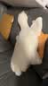 熊猫熊大白鹅玩偶抱枕睡觉毛绒玩具布娃娃长条公仔男女孩生日礼物女生友 实拍图
