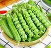 新鲜手剥豌豆米150g 实拍图