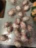 竹燕青烤海鸭蛋80g*20枚特大蟹香流油正宗北海红树林咸鸭蛋团购即食熟 实拍图