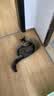 【京东快递】猫抓板磨爪圆形椭圆形瓦楞纸抓盆大号耐抓磨玩睡一体 椭圆50cm【花边随机】 送猫咪必备猫薄荷 实拍图