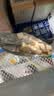 宝宝馋了婴幼儿米饼量贩装宝宝零食儿童零食混合口味（64片）128g 6月+ 实拍图