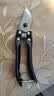 强力剪园艺剪不锈钢剪刀剪枝剪专用省力剪子花芽修花剪刀修枝剪 【厚度升级】sk5园艺剪 实拍图
