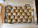 佳沛（zespri）绿奇异果优选果27-33个原箱装单果约103-135g水果 猕猴桃 实拍图