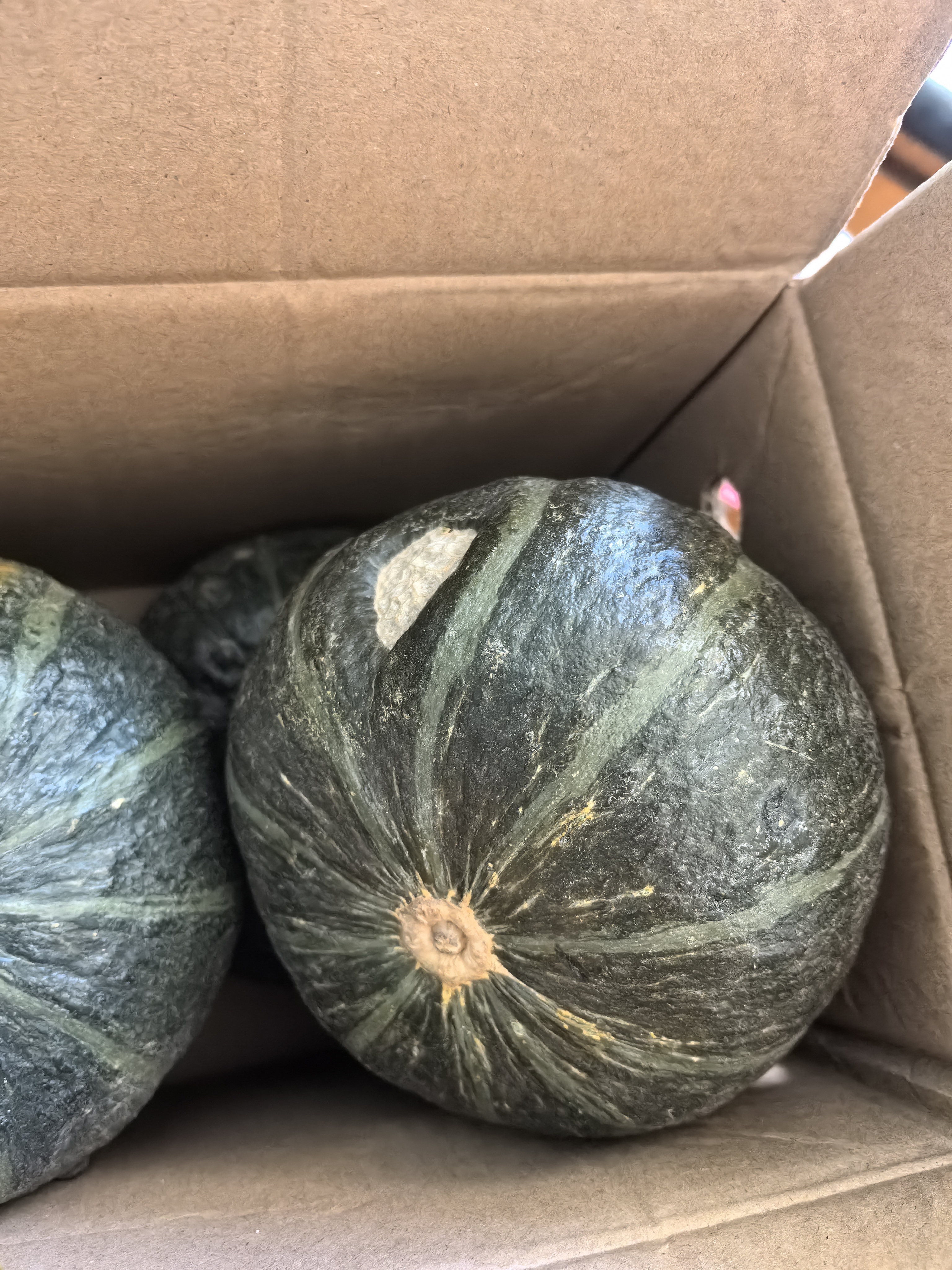京鲜生内蒙沙漠贝贝南瓜 净5斤(粉糯瓜) 中果300g+辅食 源头直发 实拍图