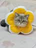 华元宠具（hoopet）狗狗伊丽莎白圈项圈小型犬宠物猫咪颈圈脖圈头套猫伊利沙白圈头罩 实拍图
