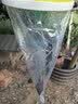 地依猫捕蝇笼网诱饵悬挂式苍蝇笼大面积养殖场抓灭蝇捕蝇器苍蝇神器 实拍图