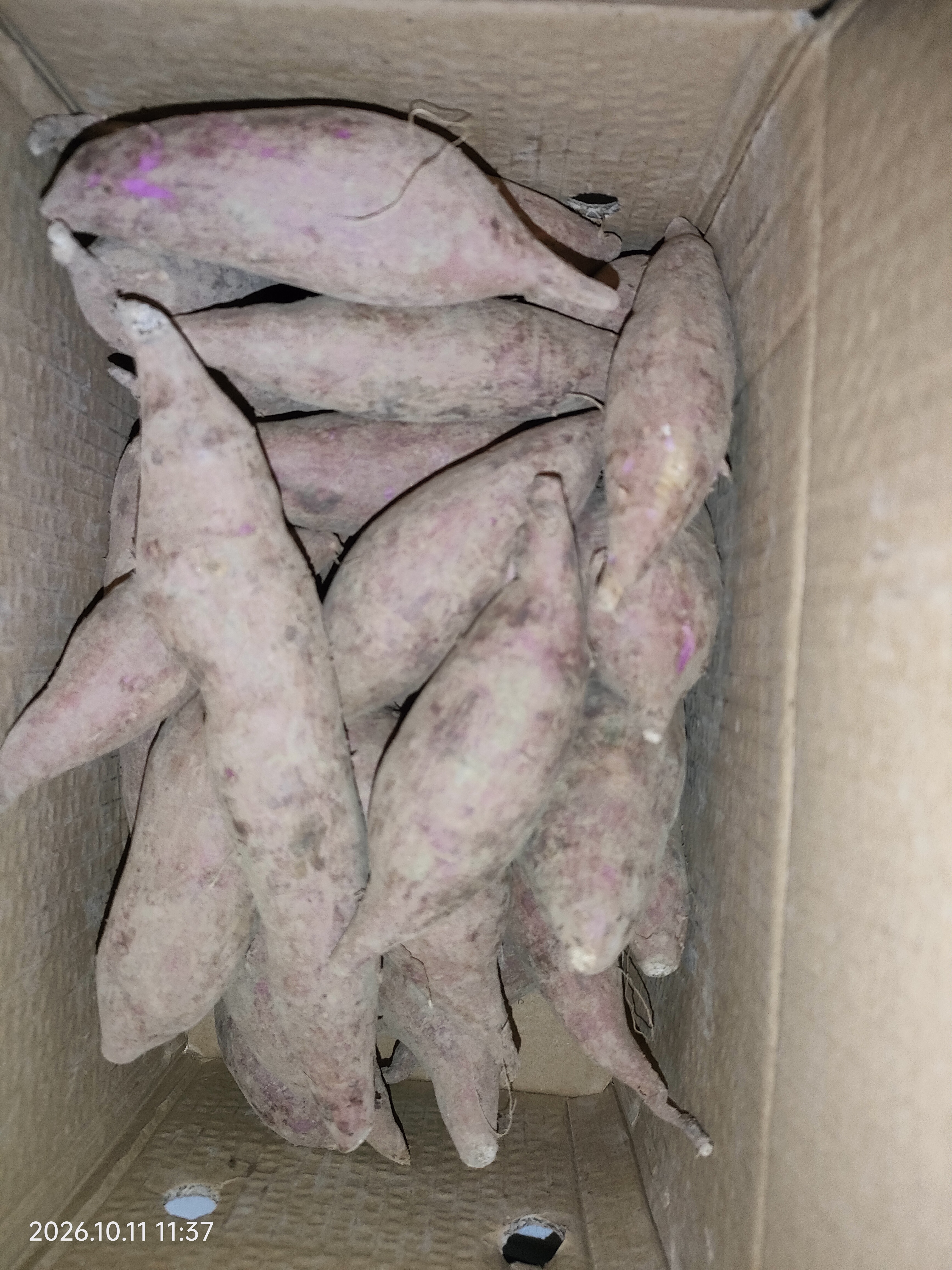 湖北紫罗兰紫薯沙地现挖紫薯宝宝辅食紫芋头山芋苕粗粮新鲜包邮 沙地紫薯5斤装中小果 实惠款 实拍图