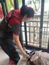京东家政 【3小时保洁单次服务】家政保洁上门服务 京东保洁家庭清洁 适用面积＜90平米 实拍图
