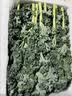 新鲜羽衣甘蓝生鲜蔬菜嫩叶云南甘兰芥蓝西餐沙拉榨汁减脂直播间 羽衣甘蓝减脂尝鲜装1斤 实拍图