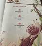 2026秋年级阅读五年级上册绘本课堂五年级上第7版 小学语文绘本课堂年级阅读人教版教材同步拓展阅读 五年级课外阅读专项训练 实拍图