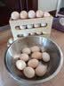 黄天鹅【可生食鲜鸡蛋】30枚/3.18斤礼盒装生鲜鸡蛋早餐京东自营 送礼 实拍图