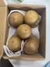 佳沛（zespri）新西兰金奇异果猕猴桃 5粒装 单果约88-103g 水果源头直发 实拍图