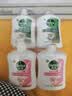 滴露（Dettol）洗手液抑菌消毒滋润500g+500g 补充装 儿童家庭护手替换装 实拍图