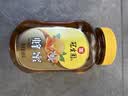 冠生园蜂蜜百花蜜500g【中华老字号】天然早餐冲饮 孕妇父母滋补礼品 实拍图