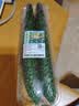 【水果菜】紫溪山嫩黄瓜约550g 实拍图