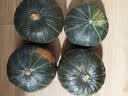 京鲜生 内蒙贝贝南瓜净3斤(粉糯瓜)中果300+蔬菜辅食板栗味源头直发 实拍图