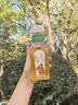 农夫山泉东方树叶桂花乌龙茶335ml*24瓶无糖茶饮料0糖0脂0卡【金秋限定】 实拍图
