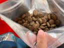 Orijen【宠物金选】渴望狗粮 成犬幼犬鸡原味鸡肉进口犬粮2kg 效期27/5 实拍图