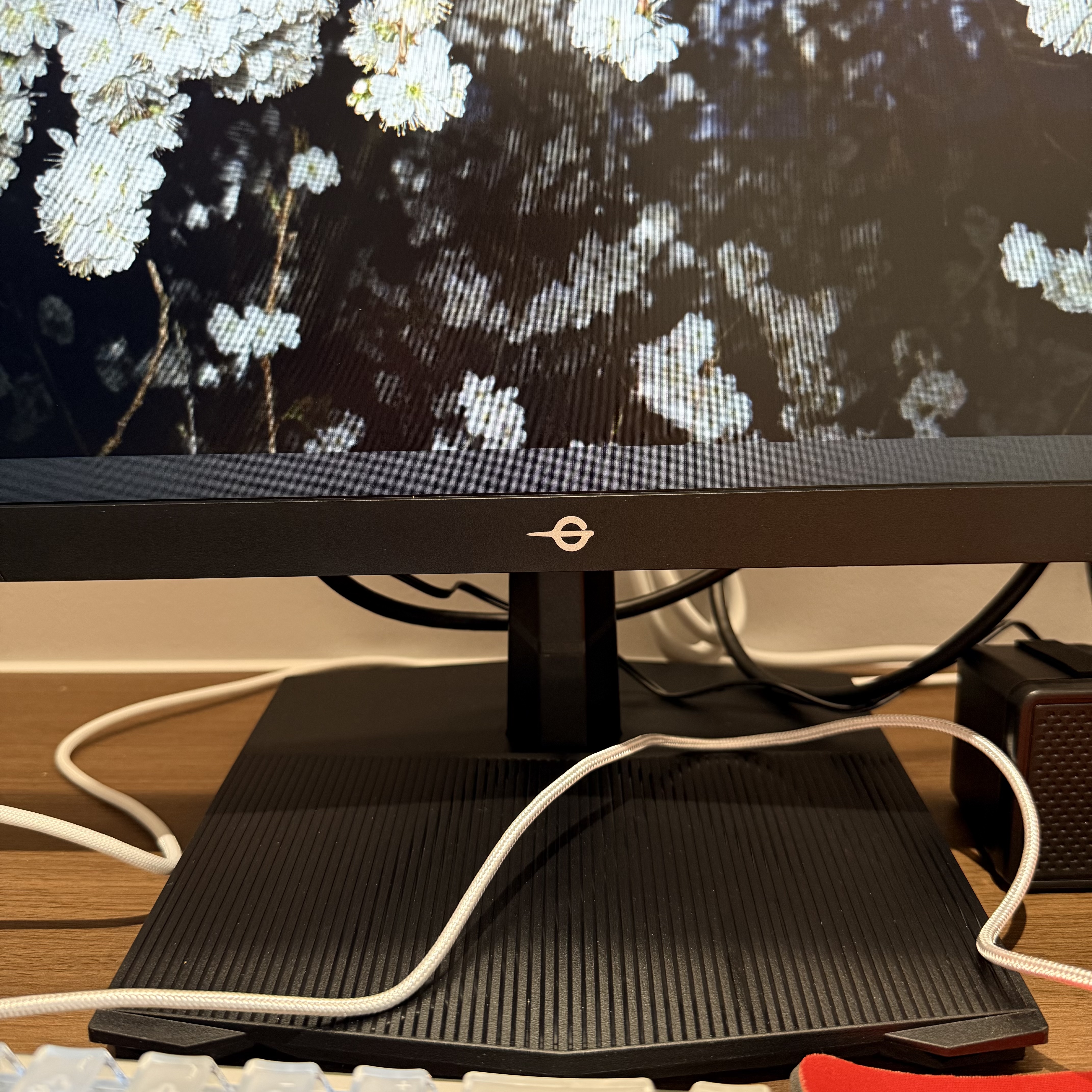 泰坦军团 24.5英寸310Hz高刷 HDR400广色域 硬件低蓝光 逐台校色FastIPS 原生280Hz电竞显示器P2510H Ultra 实拍图