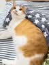 HELLOJOY狗垫子狗窝冬季保暖猫垫子宠物冬加厚猫窝睡觉用毛毯猫咪狗狗睡垫 实拍图