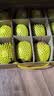 佳沛（zespri）新西兰金奇异果12粒特大果124-146g猕猴桃水果礼盒 实拍图