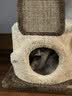 兽牌树屋猫爬架猫树猫窝一体小户型不占地豪华猫屋实木柱大猫冬季保暖 小树屋经典色 实拍图