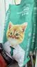 凯锐思猫粮鲜肉幼猫猫粮1-12月奶糕助力免疫鲜肉冻干双拼幼猫粮 【1-4月母乳营养】离乳奶糕粮2斤 实拍图
