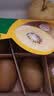 佳沛（zespri）新西兰金奇异果8粒特大果124-146g猕猴桃水果礼盒 实拍图