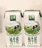 伊利【新鲜日期】金典纯牛奶 200ml*12 3.6g乳蛋白礼盒装 实拍图