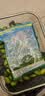 鲜木正常发货500g潮汕金灶特产青橄榄果现摘新鲜甜种橄榄柑榄青果无渣 1斤 实拍图