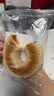 鲜京采抹茶乳酪碱水棒碱水面包贝果零食早餐代餐1枚90g 实拍图