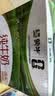 蒙牛纯牛奶钻包200ml*24盒 电商定制送礼礼盒 实拍图