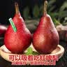 京鲜生国产考蜜斯冰淇淋红啤梨礼盒 净重4.5斤 单果180g+ 水果源头直发 实拍图