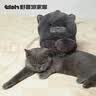 野兽派家居（tbh）懒蓝猫长条抱枕靠垫卧室办公室抱枕沙发可爱腰枕车载抱枕 实拍图