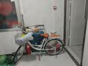 飞鸽 成人自行车女士轻便上班代步复古款通勤单车大学生女式单车 【大芭蕾】单速/暖灰色/高配礼包 24英寸|密封中轴身高145-165cm 实拍图
