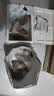 【冷冻】森农乐舟山梭子蟹新鲜特大野生螃蟹（今年新蟹活冻顺丰） 3-5两/只【3斤净重 当季船供】 实拍图