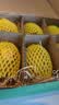 佳沛（zespri）新西兰阳光金奇异果6粒装88-103g猕猴桃水果水果礼盒 实拍图