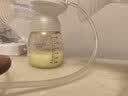 卡乐怡储奶袋母乳装奶袋一次性母乳专用保鲜袋容量200ml5片装 200ml×5片装 实拍图